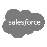 salesforce log for lead management